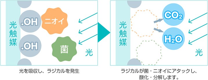 光触媒による抗菌・消臭のイメージ